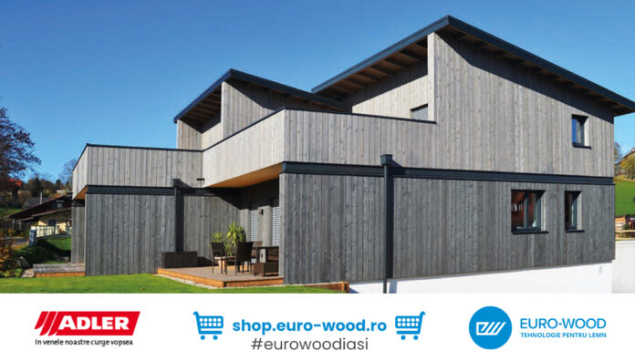 EXCLUSIV. Firma milionarului Patriche din Podu Iloaiei, țepuită din interior. Schema de aproape jumătate de milion de lei a unui agent de vânzări