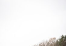 Sportiva ieșeană Ilinca Rață aduce României locul I la debutul CSIO Ch Nations Cup Youth Belgia