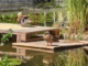 VIDEO Lacul artificial din Copou a devenit casă pentru o familie de rățuște