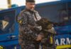Hugo, noul „specialist” pe patru lăbuțe al Jandarmeriei Iași, pregătit pentru misiuni de detectare a substanțelor interzise