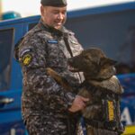 Hugo, noul „specialist” pe patru lăbuțe al Jandarmeriei Iași, pregătit pentru misiuni de detectare a substanțelor interzise
