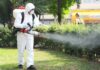 Primăria Iași continuă dezinsecția în tot orașul. Programul intervențiilor până în septembrie