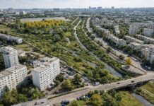 O „deltă urbană” ar putea apărea la Iași. Proiect de 36,5 milioane de lei la confluența Bahlui–Nicolina