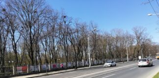 Încep lucrările de modernizare a liniei de tramvai din Copou. Șantierul va dura un an