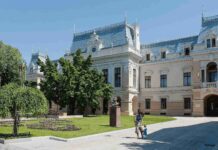 Arborii din Iași, afectați de caniculă. Primăria: „Nu este vorba despre un proces ireversibil”