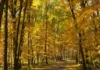 Prognoza meteo până în 21 septembrie. Vara ne face o surpriză plăcută, toamna mai așteaptă