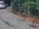 VIDEO Un ieșean a fost amendat cu 12.000 de lei după ce ar fi abandonat un câine la Tomești