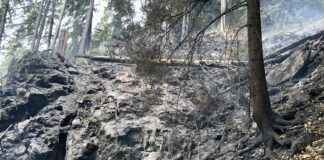 VIDEO Incendiu în Masivul Ceahlău: 350 de metri pătrați de pădure afectați. Pompierii au reluat intervenția în această dimineață