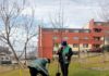 Iașul începe campania de plantări de toamnă: peste 1,2 milioane de flori și bulbi și aproape 8.000 de arbori noi