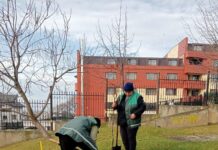 Iașul începe campania de plantări de toamnă: peste 1,2 milioane de flori și bulbi și aproape 8.000 de arbori noi
