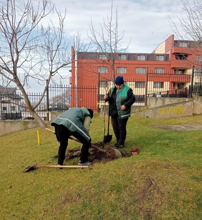 854930269_1378526721022439_1495790779734077806_n